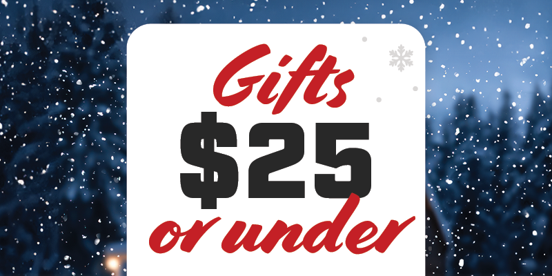 Special: 2024 Holiday Gift Guide - under $25